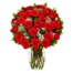 Rote langstielige Rosen