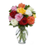 12 bunte Rosen