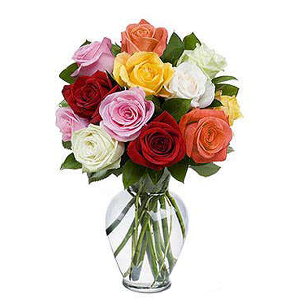 12 bunte Rosen