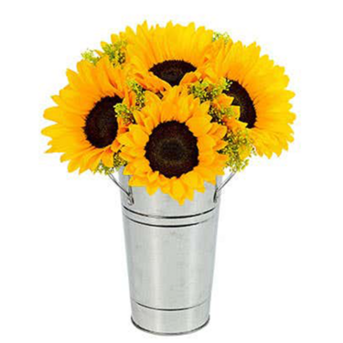 Fresh Sunflower Harvest