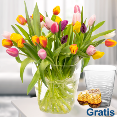 40 Tulpen im Bund 40 Tulpen im Bund