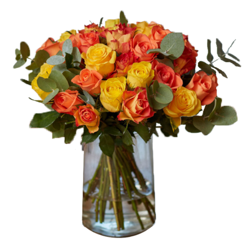 Rose Bouquet Sunrise