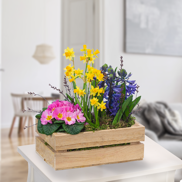 Colourful Mix in wooden box