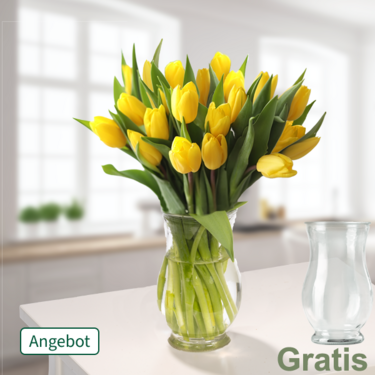 20 gelbe Tulpen im Bund 20 gelbe Tulpen im Bund