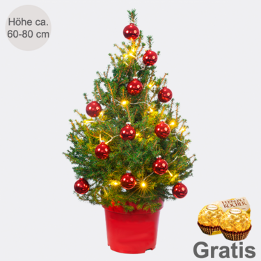 Weihnachtsbaum Little Santa mit Lichterkette & mit 2 Ferrero Rocher Weihnachtsbaum Little Santa mit Lichterkette & mit 2 Ferrero Rocher