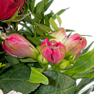 Blumenarrangement Liebesblüte mit Vase