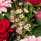 Blumenarrangement Liebesblüte mit Vase