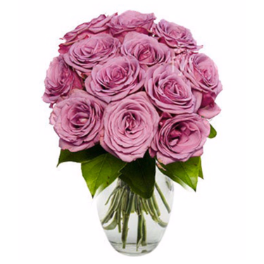 12 lila Rosen