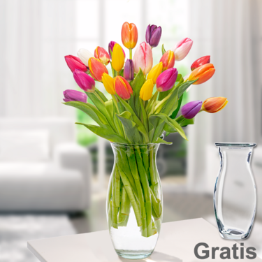 frisch gebunden 20 Tulpen im Bund mit Vase