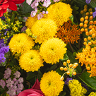 Premiumstrauß Blütenwiese mit Premiumvase & Lauensteiner Herzdose