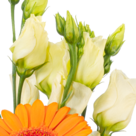 Flower Arrangement Sommermorgen with vase