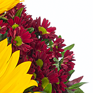 Blumenstrauß Herbstlächeln mit Vase & 2 Ferrero Rocher & Rotkäppchen Sekt