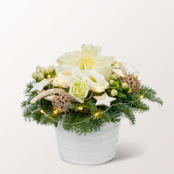 Arrangement Winterwonderland with X-Mas lights