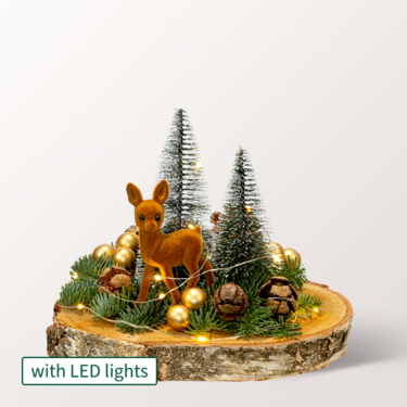 Winter Dream on wood with X-Mas lights