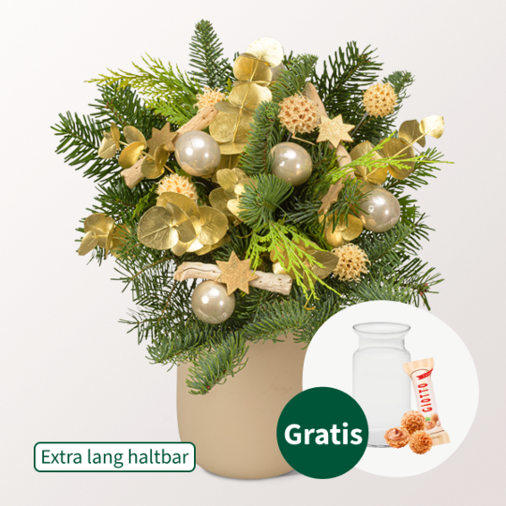 Winterstrauß Sternschnuppe mit Vase