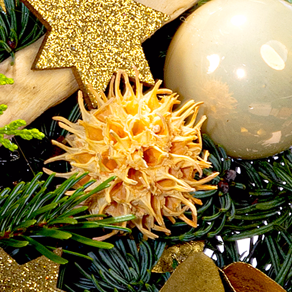 Winterstrauß Sternschnuppe mit Vase & Ferrero Giotto 3er