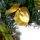 Winterstrauß Sternschnuppe mit Vase