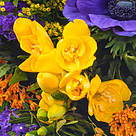 Blumenstrauß Frühlingsbote mit Vase & 2 Ferrero Rocher