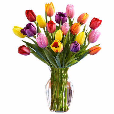 15 Tulpen im Bund