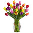 15 Tulpen im Bund