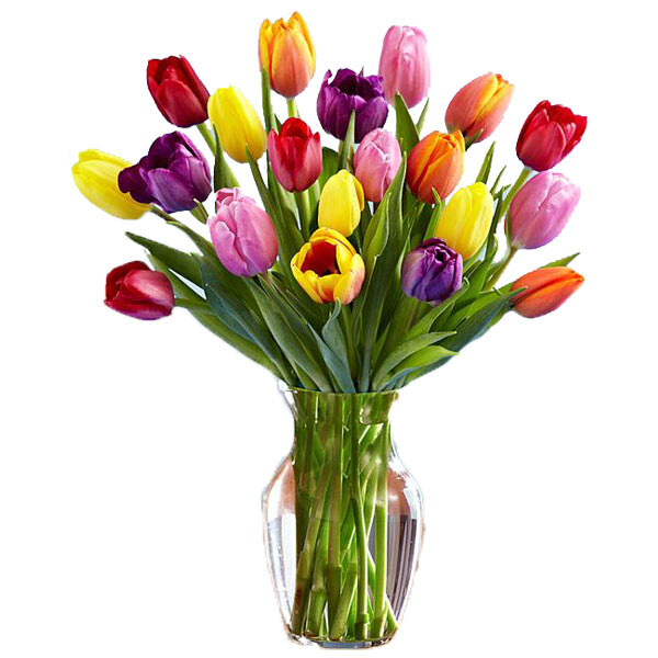 Rainbow Tulip Bouquet - 15 Stems