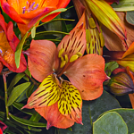 Blumenstrauß Blumensymphonie mit Vase