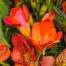 Flower Bouquet Blumensymphonie