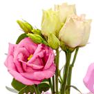 Blumenstrauß Rosa Himmel mit Vase & Ferrero Raffaello