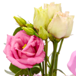Blumenstrauß Rosa Himmel mit Vase & Ferrero Giotto 3er