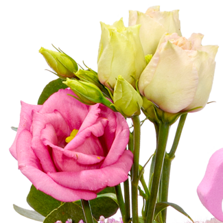 Blumenstrauß Rosa Himmel mit Vase & Ferrero Giotto 3er