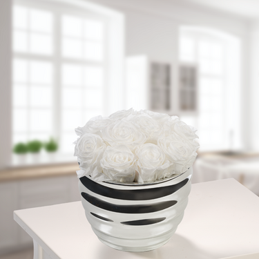 10 white roses in a silver pot