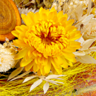Arrangement Herbstkuss