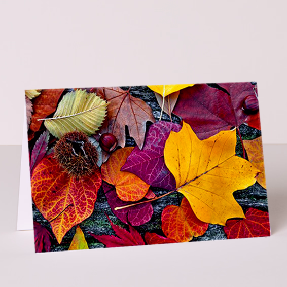 Motivkarte Neutral Herbstlaub