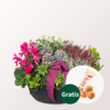 Arrangement Herbstmix mit Ferrero Giotto 3er