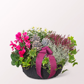Arrangement Herbstmix mit Halloren Kugeln