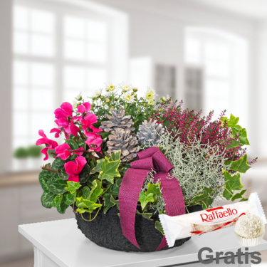 frisch arrangiert Arrangement Herbstmix mit Ferrero Raffaello