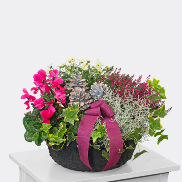 frisch arrangiert Arrangement Herbstmix