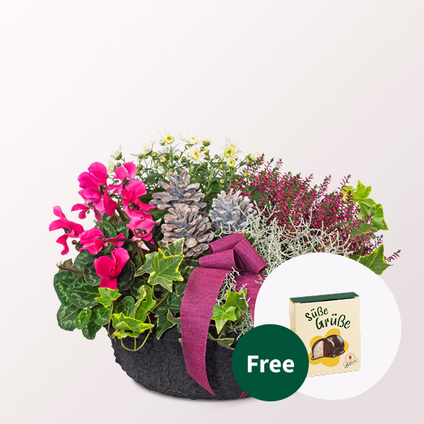 Arrangement Herbstmix with Halloren Balls