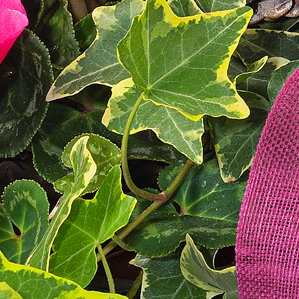 Arrangement Herbstmix with 3 Ferrero Giotto