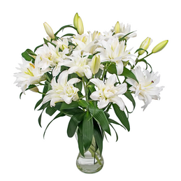 Double-Flowering Lilies Double-Flowering Lilies