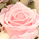 Blumenfenster "Für die beste Mama"