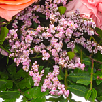 Flower Bouquet Blütenmelodie with Vase & 2 Ferrero Rocher