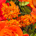 Blumenstrauß Blütenkuss mit Vase