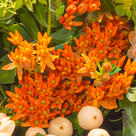 Blumenstrauß Sommerschönheit mit Vase