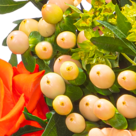 Blumenstrauß Sommerschönheit mit Vase