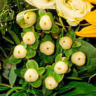 Blumenstrauß Helios mit Vase & Ferrero Raffaello