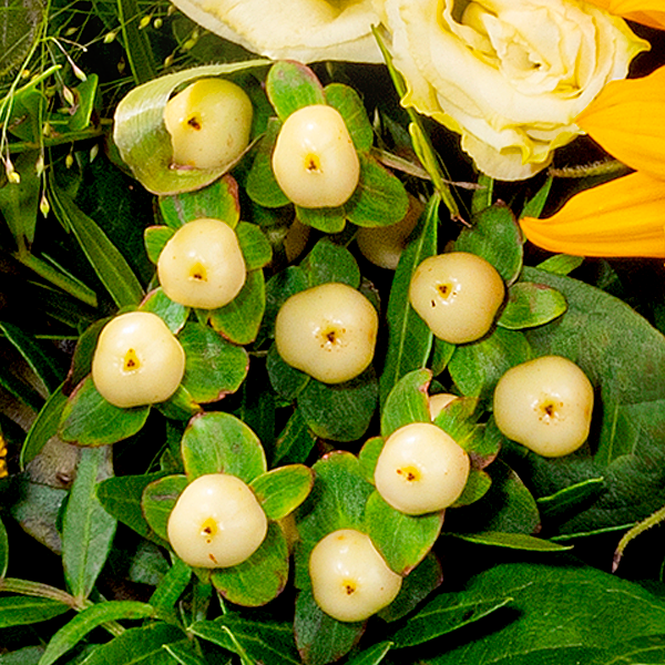 Blumenstrauß Helios mit Vase & 2 Ferrero Rocher