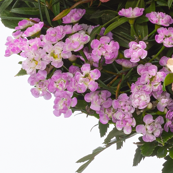 Blumenstrauß Farbenfroh mit Vase & Ferrero Raffaello