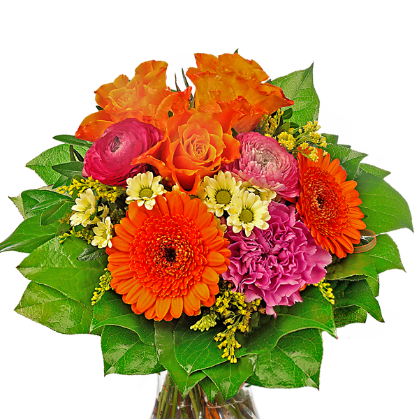 Frische Blumen ExpressLieferung noch heute FloraPrima.de