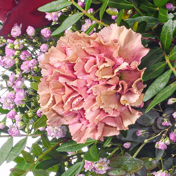 Premiumstrauß Liebesfeuer mit Premiumvase & Ferrero Giotto 3er